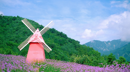 熊貓香山